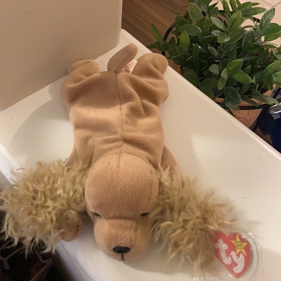 TY Beanie Baby Spunky the Cocker Spaniel‌‌‌‌‌‌‌‌‌‌‌‌‌‌‌‌‌‌‌‌‌‌‌‌‌‌‌‌‌‌‌…‌‌‌‌‌‌‍ - Picture 2 of 8